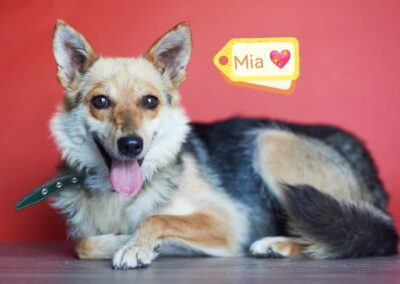 Mia – 2 years old girl – small size- Selston, Nottinghamshire