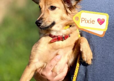 PIXIE – 5 months girl –  small size