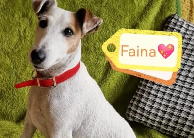 Already in UK: FAINA- small 7 yo girl–smooth fox terrier-  Ukraine war dog