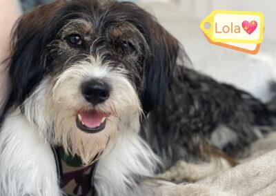 Already in UK – LOLA – 12 months old girl – Medium – Fees Reduced