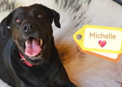 Already in UK:MICHELLE – 3 years old girl – Upper-medium size-Labrador