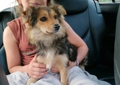 UK surrender: PIXIE – 10-11 months old girl – Small size